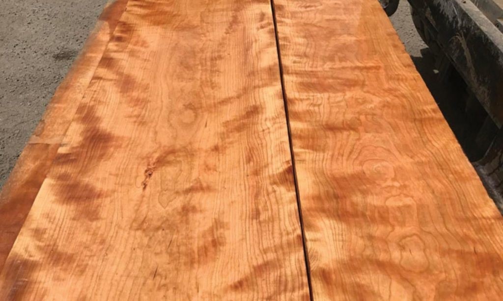 چوب افرا و مبلمان